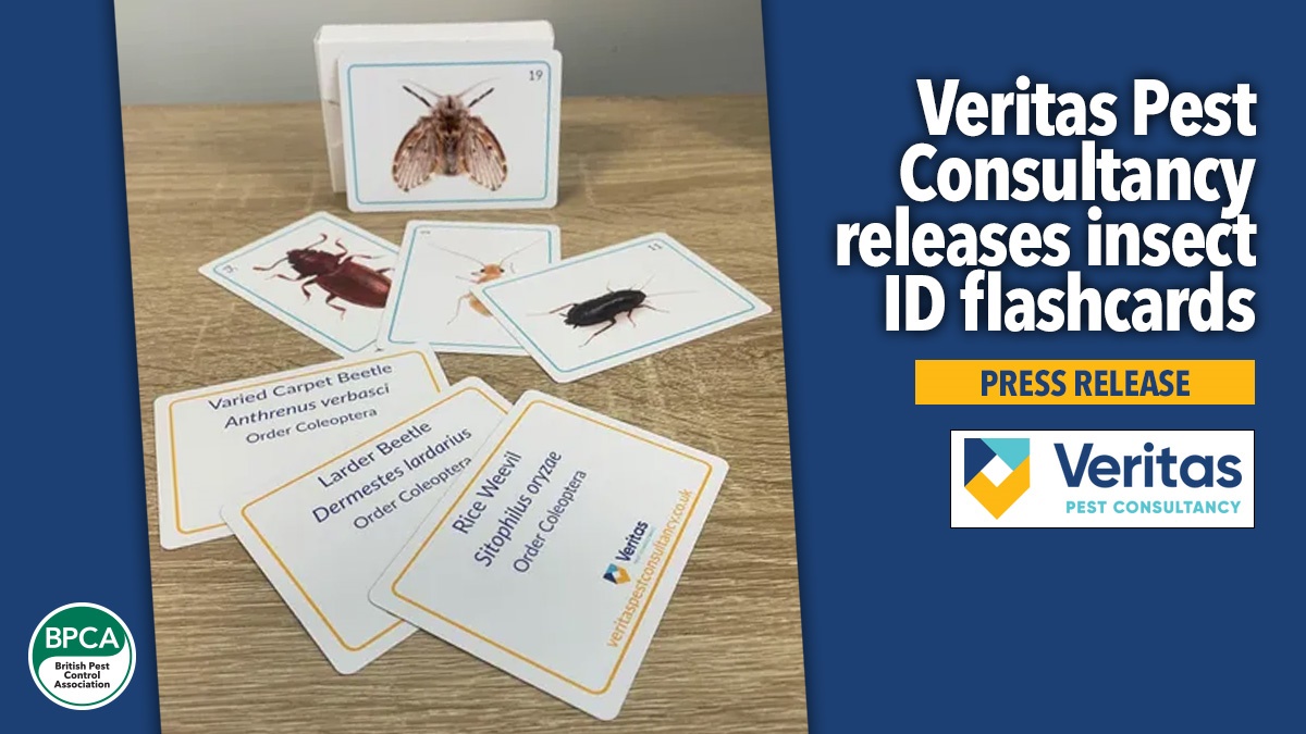 veritas-insect-id-flashcards-hero